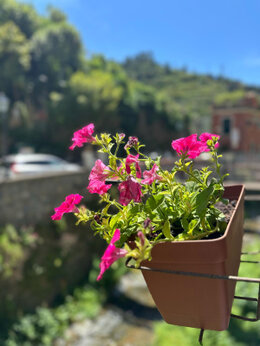 Camere Fontanavecchia, Vernazza Vacation,<br />Suite Zoe, Camere Giulia, Camere Margot